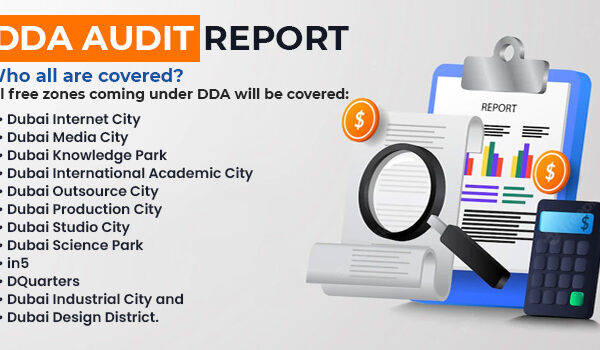 dda audit report