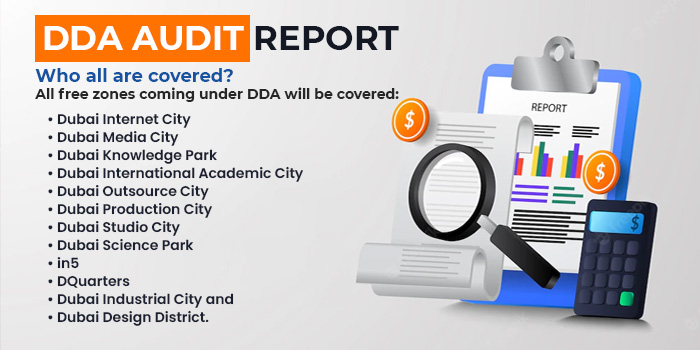 dda audit report
