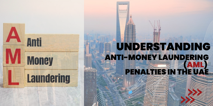 Understanding Anti-Money Laundering (AML) Penalties in the UAE