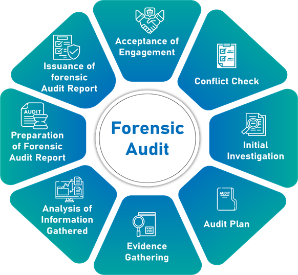 Forensic Audit Process