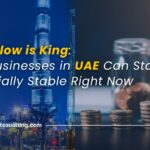 Cash flow management UAE